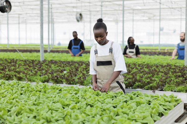 Quelles méthodes pour enseigner la rédaction de rapports techniques précis en ingénierie ?